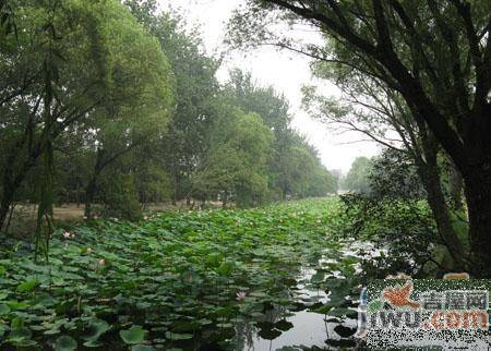 国润翠湖实景图图片